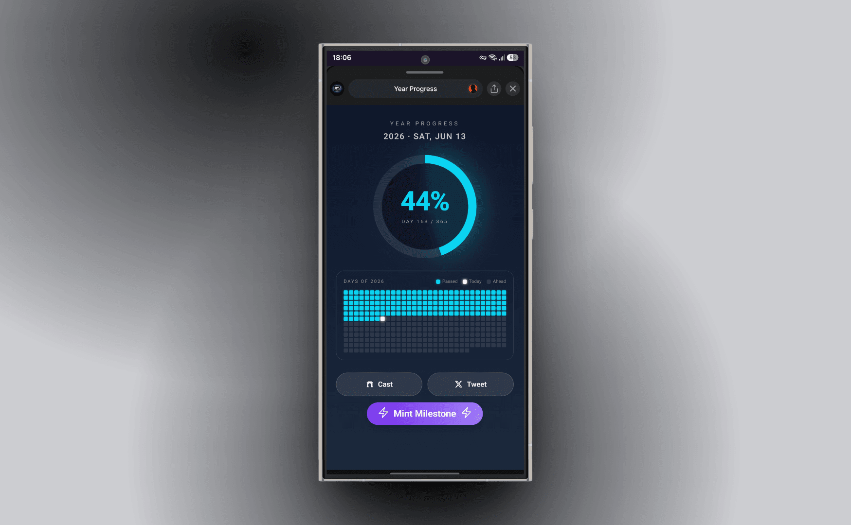 Year Progress screen 3